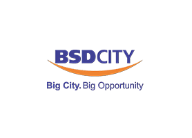 BSD City